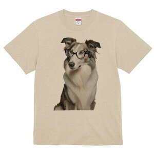 {[_[R[ TVc  j[NfUCfB[X t@  t vg lJWA 킢 lԗp Mtg I ҏ΍ Kl {[_[R[