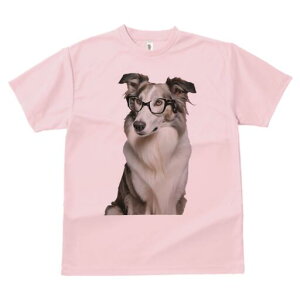 {[_[R[ TVc  j[NfUCfB[X t@  t vg lJWA 킢 lԗp Mtg I ҏ΍ Kl {[_[R[