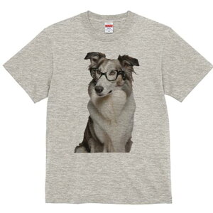 {[_[R[ TVc  j[NfUCfB[X t@  t vg lJWA 킢 lԗp Mtg I ҏ΍ Kl {[_[R[