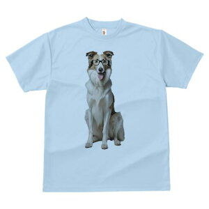 {[_[R[ TVc  j[NfUCY LbY t@  t vg lJWA 킢 lԗp Mtg I ҏ΍ Kl {[_[R[