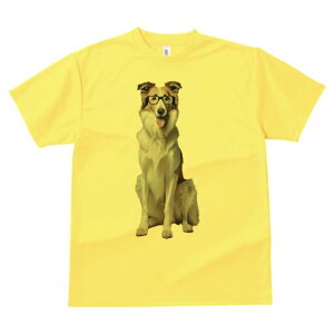 {[_[R[ TVc  j[NfUCfB[X t@  t vg lJWA 킢 lԗp Mtg I ҏ΍ Kl {[_[R[