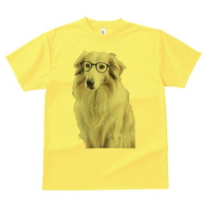 O[gsj[Y TVc  j[NfUCY LbY t@  t vg lJWA 킢 lԗp Mtg I ҏ΍ Kl O[gsj[Y