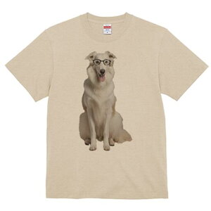 {]C TVc  j[NfUCfB[X t@  t vg lJWA 킢 lԗp Mtg I ҏ΍ Kl {]C