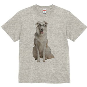 {]C TVc  j[NfUCfB[X t@  t vg lJWA 킢 lԗp Mtg I ҏ΍ Kl {]C