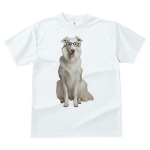 {]C TVc  j[NfUCfB[X t@  t vg lJWA 킢 lԗp Mtg I ҏ΍ Kl {]C