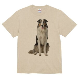 {[_[R[ TVc  j[NfUCfB[X t@  t vg lJWA 킢 lԗp Mtg I ҏ΍ Kl {[_[R[ mI 킢 C