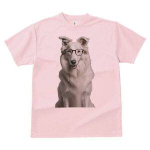 zCgXCXVFp[hhbO TVc  j[NfUCY LbY t@  t vg lJWA 킢 lԗp Mtg I ҏ΍ Kl zCgXC