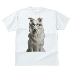 zCgXCXVFp[hhbO TVc  j[NfUCfB[X t@  t vg lJWA 킢 lԗp Mtg I ҏ΍ Kl zCgXCXV