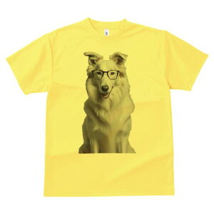 zCgXCXVFp[hhbO TVc  j[NfUCfB[X t@  t vg lJWA 킢 lԗp Mtg I ҏ΍ Kl zCgXCXV