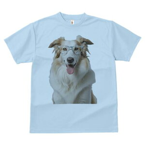 {[_[R[ TVc  j[NfUCY LbY t@  t vg lJWA 킢 lԗp Mtg I ҏ΍ Kl {[_[R[