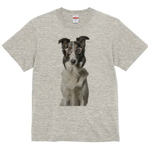 {[_[R[ TVc  j[NfUCfB[X t@  t vg lJWA 킢 lԗp Mtg I ҏ΍ Kl {[_[R[