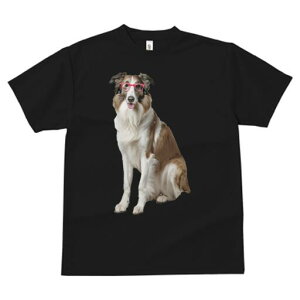 R[ TVc  j[NfUCfB[X t@  t vg lJWA 킢 lԗp Mtg I ҏ΍ Kl R[