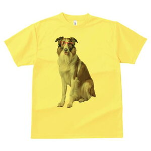 R[ TVc  j[NfUCfB[X t@  t vg lJWA 킢 lԗp Mtg I ҏ΍ Kl R[