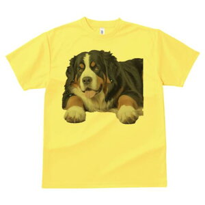 o[j[Y}EehbO TVc  j[NfUCfB[X t@  t vg lJWA 킢 lԗp Mtg I ҏ΍ o[j[Y}EehbO