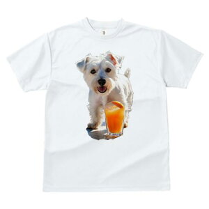 �E�G�X�g�n�C�����h�z���C�g�e���A T�V���c ���� ���j�[�N�f�U�C�����f�B�[�X ���t�@�� ���� �t�� �v�����g ��l�J�W���A�� ���킢�� �l�ԗp �M�t�g ���I �ҏ��΍� �I�����W�W���[�X �E�G