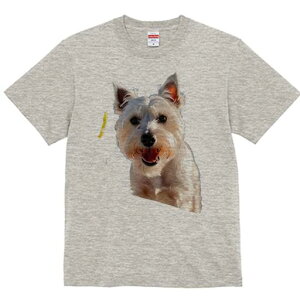 EGXgnChzCgeA TVc  j[NfUCfB[X t@  t vg lJWA 킢 lԗp Mtg I ҏ΍ ݕ EGXgnC