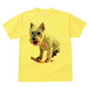 EGXgnChzCgeA TVc  j[NfUCfB[X t@  t vg lJWA 킢 lԗp Mtg I ҏ΍ IW EGXgnC