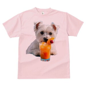 EGXgnChzCgeA TVc  j[NfUCfB[X t@  t vg lJWA 킢 lԗp Mtg I ҏ΍ JNe EGXgnC