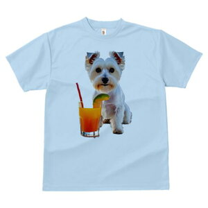 EGXgnChzCgeA TVc  j[NfUCfB[X t@  t vg lJWA 킢 lԗp Mtg I ҏ΍ W[X EGXgnC