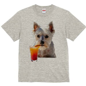 EGXgnChzCgeA TVc  j[NfUCfB[X t@  t vg lJWA 킢 lԗp Mtg I ҏ΍ JNe EGXgnC