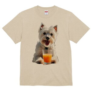 EGXgnChzCgeA TVc  j[NfUCfB[X t@  t vg lJWA 킢 lԗp Mtg I ҏ΍ W[X EGXgnC