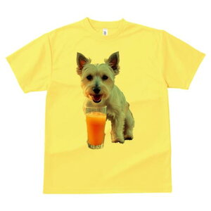 �E�G�X�g�n�C�����h�z���C�g�e���A T�V���c ���� ���j�[�N�f�U�C�����f�B�[�X ���t�@�� ���� �t�� �v�����g ��l�J�W���A�� ���킢�� �l�ԗp �M�t�g ���I �ҏ��΍� �W���[�X �E�G�X�g�n�C