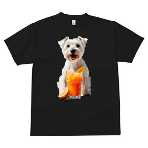 EGXgnChzCgeA TVc  j[NfUCfB[X t@  t vg lJWA 킢 lԗp Mtg I ҏ΍ IWW[X EG