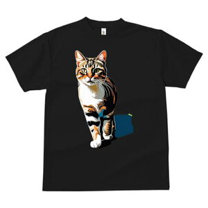 TVc  j[NfUCfB[X t@  t vg lJWA 킢 lԗp Mtg I ҏ΍ L ybg  킢 