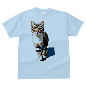 TVc  j[NfUCfB[X t@  t vg lJWA 킢 lԗp Mtg I ҏ΍ L ybg  킢 