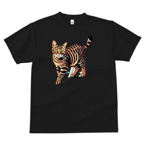 TVc  j[NfUCfB[X t@  t vg lJWA 킢 lԗp Mtg I ҏ΍ L TVc