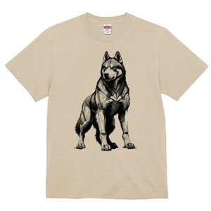 nXL[ TVc  j[NfUCfB[X t@  t vg lJWA 킢 lԗp Mtg I ҏ΍ nXL[