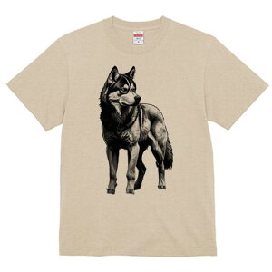 nXL[ TVc  j[NfUCfB[X t@  t vg lJWA 킢 lԗp Mtg I ҏ΍ nXL[