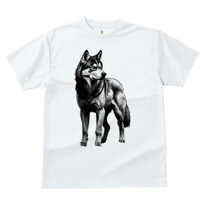 nXL[ TVc  j[NfUCfB[X t@  t vg lJWA 킢 lԗp Mtg I ҏ΍ nXL[