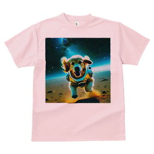 S[fgo[ TVc  j[NfUCfB[X t@  t vg lJWA 킢 lԗp Mtg I ҏ΍ F S[fgo[ F 