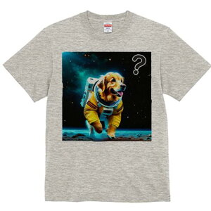 S[fgo[ TVc  j[NfUCfB[X t@  t vg lJWA 킢 lԗp Mtg I ҏ΍ F S[fgo[ F 