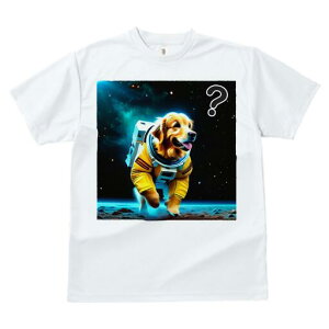 S[fgo[ TVc  j[NfUCfB[X t@  t vg lJWA 킢 lԗp Mtg I ҏ΍ F S[fgo[ F 