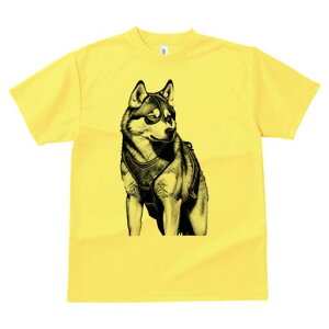 VxAnXL[ TVc  j[NfUCfB[X t@  t vg lJWA 킢 lԗp Mtg I ҏ΍ n[lX VxAnXL[ mN