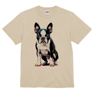 {XgeA TVc  j[NfUCfB[X t@  t vg lJWA 킢 lԗp Mtg I ҏ΍ {XgeA