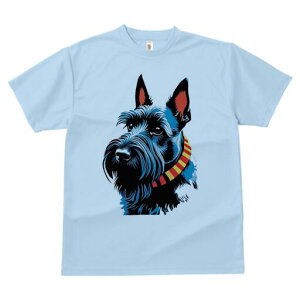 XReBbVeA TVc  j[NfUCfB[X t@  t vg lJWA 킢 lԗp Mtg I ҏ΍  XReBbVeA