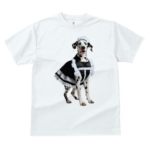 _VA TVc  j[NfUCfB[X t@  t vg lJWA 킢 lԗp Mtg I ҏ΍ Ch _VA RX`[