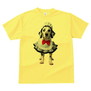 _VA TVc  j[NfUCY LbY t@  t vg lJWA 킢 lԗp Mtg I ҏ΍ Ch _VA ԂlN^C X