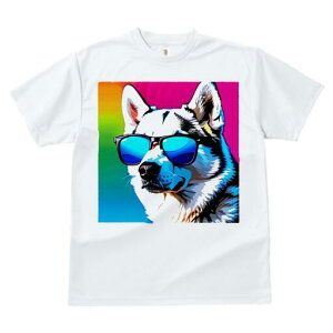 Hc TVc  j[NfUCfB[X t@  t vg lJWA 킢 lԗp Mtg I ҏ΍ TOX Hc