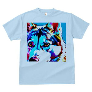 nXL[ TVc  j[NfUCfB[X t@  t vg lJWA 킢 lԗp Mtg I ҏ΍ nXL[