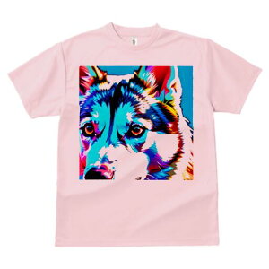 nXL[ TVc  j[NfUCfB[X t@  t vg lJWA 킢 lԗp Mtg I ҏ΍ nXL[