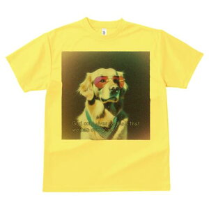 S[fgo[ TVc  j[NfUCfB[X t@  t vg lJWA 킢 lԗp Mtg I ҏ΍ TOX S[fgo[