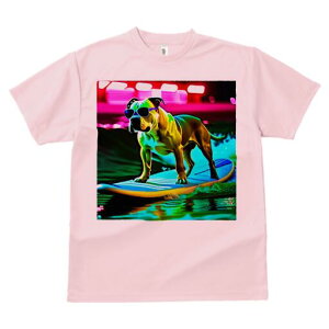 AJsbgueA TVc  j[NfUCfB[X t@  t vg lJWA 킢 lԗp Mtg I ҏ΍ TOX AJsbg