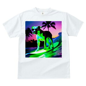 {NT[ TVc  j[NfUCfB[X t@  t vg lJWA 킢 lԗp Mtg I ҏ΍ TOX {NT[ T[tB r[` V̖