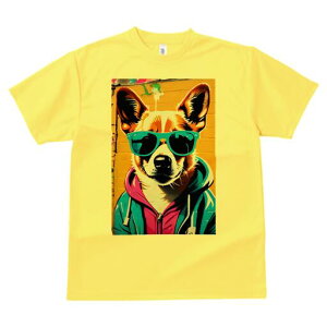 R[M[ TVc  j[NfUCfB[X t@  t vg lJWA 킢 lԗp Mtg I ҏ΍ TOX R[M[ p[J[