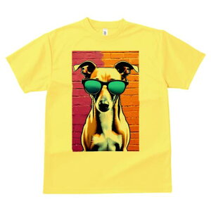 C^AO[nEh TVc  j[NfUCfB[X t@  t vg lJWA 킢 lԗp Mtg I ҏ΍ TOX C^AO[n