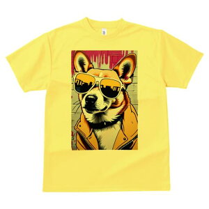 R[M[ TVc  j[NfUCfB[X t@  t vg lJWA 킢 lԗp Mtg I ҏ΍ TOX R[M[ WPbg OtBeB